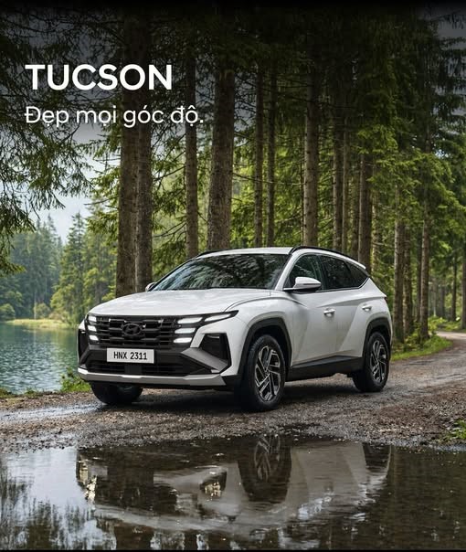 Tucson hải dương