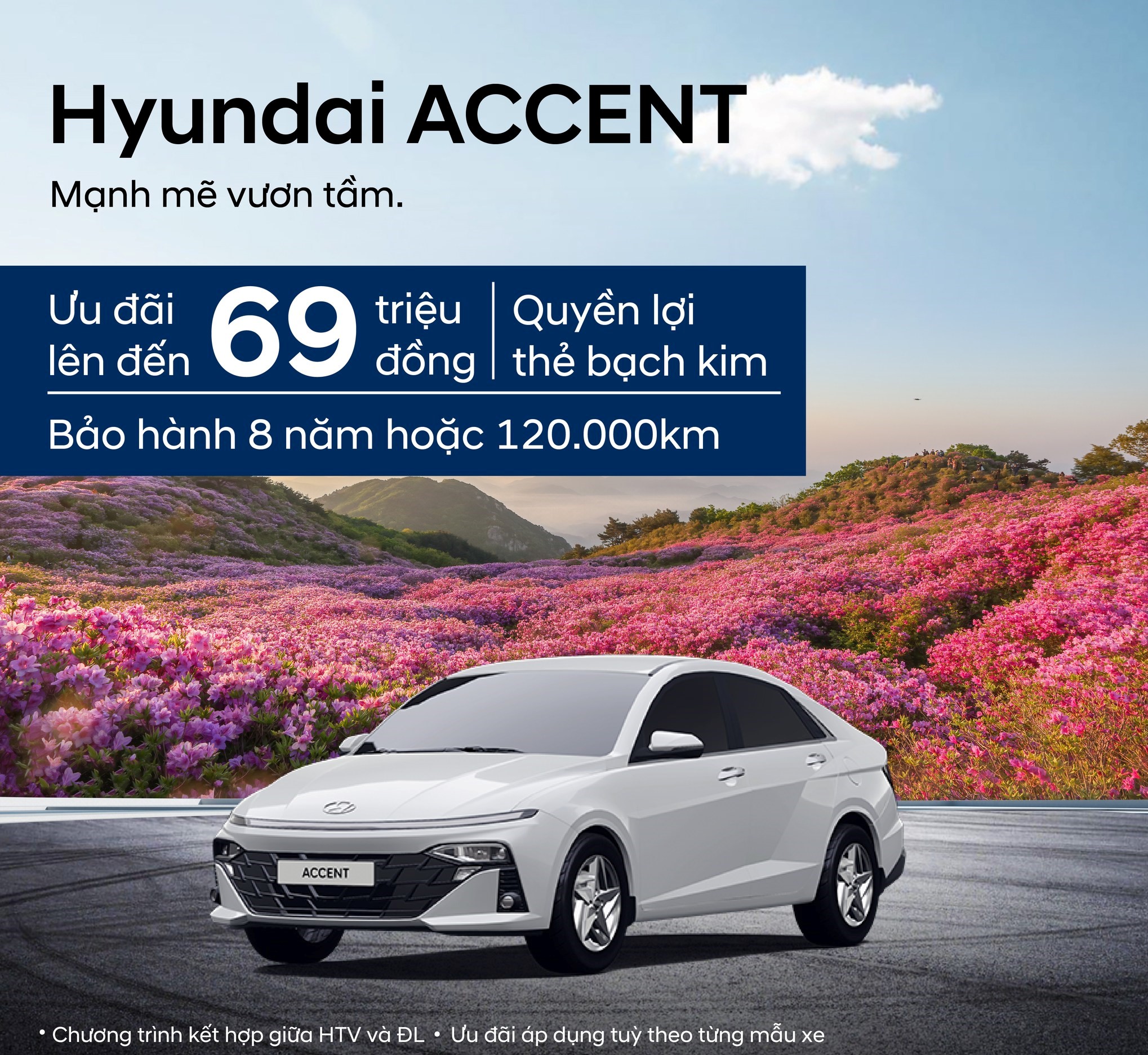 Accent hải dương